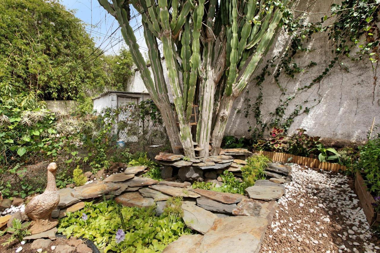 טקורונטה Apartamento Jardin Del Sol מראה חיצוני תמונה